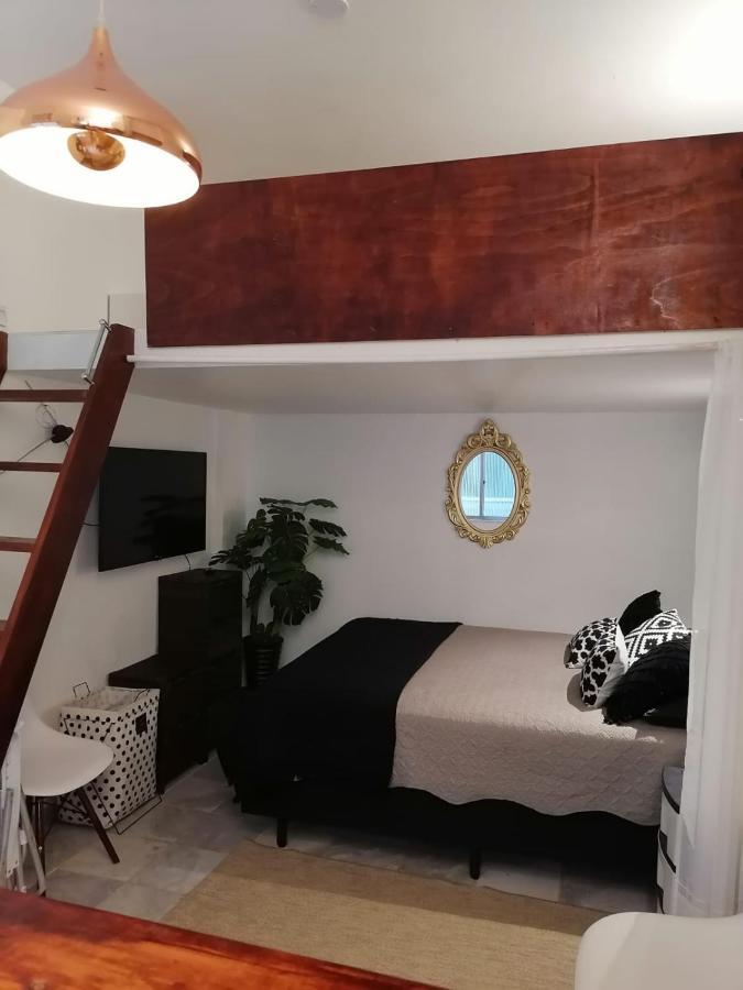 Apartment Mini Loft En Rio Rio de Janeiro